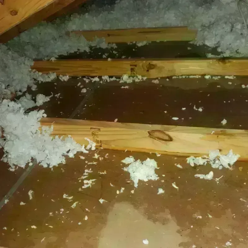 Attic Water Damage in Bath, PA